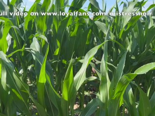 Cute girl gets DEEPLY FUCKED AND FISTED (Outdoor fuck in a cornfield).