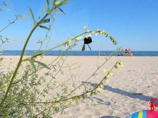 POSING NAKED AND FUCKING FOR THE FIRST TIME ON A PUBLIC BEACH