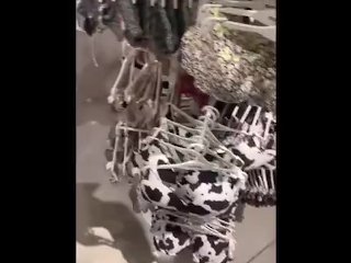 Me pillan masturbandome en los probadores de una tienda en el centro comercial