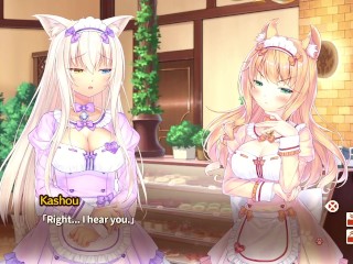 Catgirl Porn Game Review: Nekopara 4