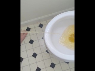 Trying To Get Hard While Peeing POV