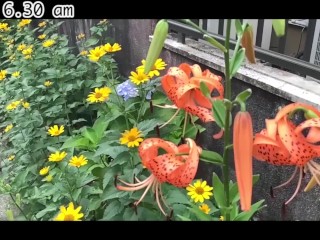 エログロナンセンスのモーニングルーティン