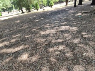 Pussy flash - A stranger caught me masturbating in the park and help me squirt - MissCreamy