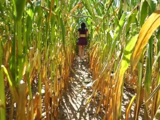 Hot BLOWJOB in a CORNFIELD