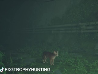 A Little Chatty - Stray - Trophy / Achievement Guide