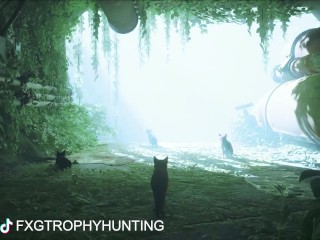 A Little Chatty - Stray - Trophy / Achievement Guide