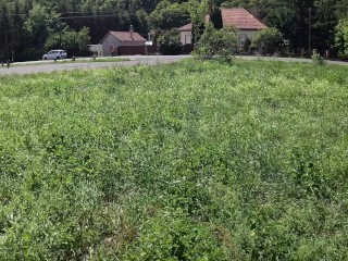 He fuck me and cumshot me on bench right next to public train station and car road -so risky !