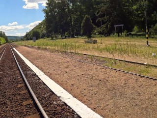 He fuck me and cumshot me on bench right next to public train station and car road -so risky !