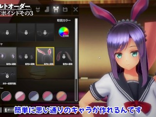 同人アダルトで最もエロいアニメ調3Ｄエロゲがこちらです【インサルトオーダー】