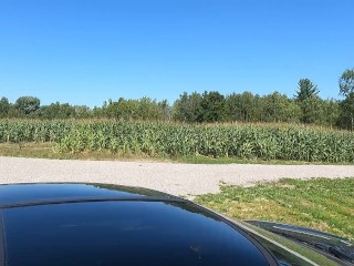 Blowjob Diaries Vol 34 roadside head in a corn field