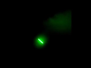 moiprat do you like melon