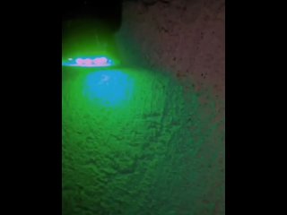 moiprathub second half melon