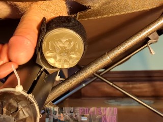 Milking Table Multiple Cum Fuck Machine Homemade