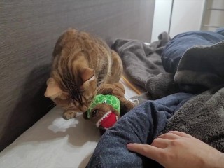 Pussy playing with toys in bed. Playing so hard that the bed is soggy.