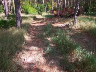 Nackte Titten immer wieder beim Wandern schlagen