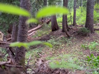 National Park Trail Sex