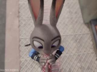 Judy Hopps: All cops are bunnies