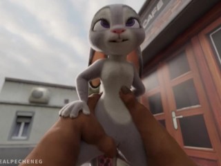 Judy Hopps: All cops are bunnies