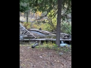 Pissing in peaceful fall woods by the water