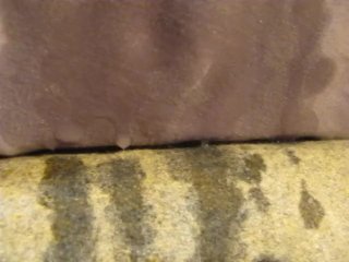 preview: Halloween 2020 Gia DiMarco" as K.L.S."