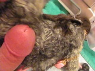 preview: Halloween 2020 Gia DiMarco" as K.L.S."