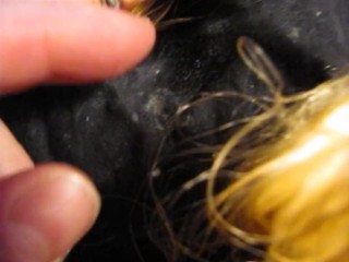 BBB 2013 Black Canary & RePo "Blasted" FULL session