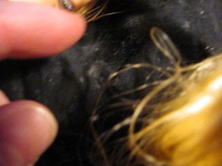 BBB 2013 RePo & Black Canary "Blast" just-the-cumshot version