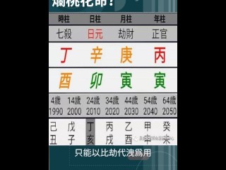 這個八字日主弱 只能以比劫代洩為用。但日主唯一的根，也就是酉，被卯所沖，造成日主無根，導致八字不穩，即使走印運，仍會被很旺的財所剋，只有走比劫運，才能有穩定的感情。 她的內心是非常不安的，