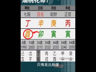 這個八字日主弱 只能以比劫代洩為用。但日主唯一的根，也就是酉，被卯所沖，造成日主無根，導致八字不穩，即使走印運，仍會被很旺的財所剋，只有走比劫運，才能有穩定的感情。 她的內心是非常不安的，