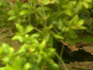 Possession S1 full classic 90s dvd porn at best vintage 4K format