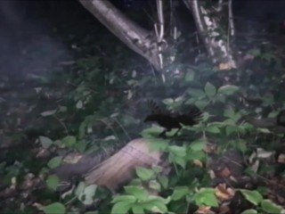 Hexe fickt Besen im Wald