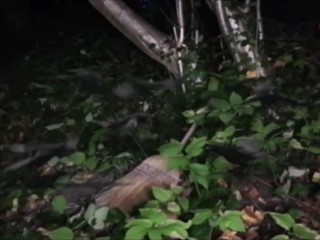 Hexe fickt Besen im Wald