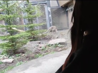 (vlog)初の山登り＆動物園で沢山充実したあとお部屋でまったり生エッチ。お口で優しく包まれた後に下のお口に中出し。(日本人/Japanese/등산과 동물원에 외출하신다)