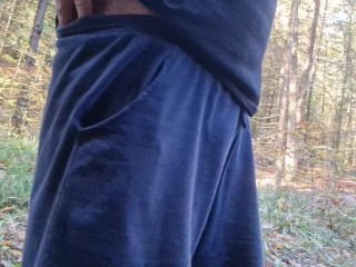 Showing my COCK and JERKING OFF in public (forest)...and almost got caught