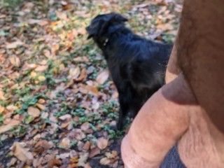 Showing my COCK and JERKING OFF in public (forest)...and almost got caught