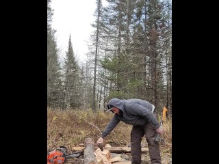 Cutting wood and dirt talk 