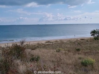 Alice Bardoo Anal jelly dildo at the naturist beach