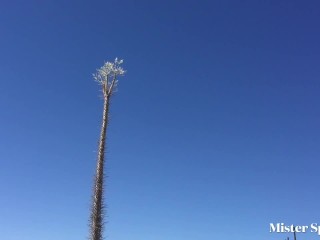 Model Sucks Photographer In Mexican Desert and Swallows His Cum