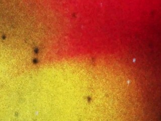 TGIRLS.XXX: BLAIR IS BACK!