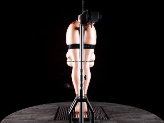 Hanging Milf Chained and Fucked with Fuck Machine 3D BDSM