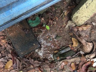 I Pee into the Mud ASMR (Episode 01)