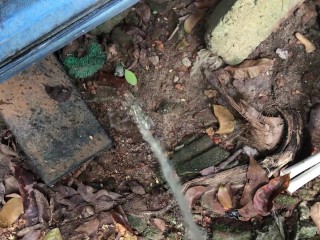 I Pee into the Mud ASMR (Episode 01)