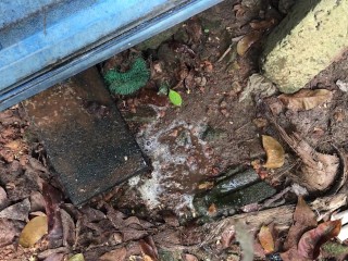 I Pee into the Mud ASMR (Episode 01)