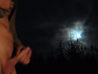 Fullmoon - HD