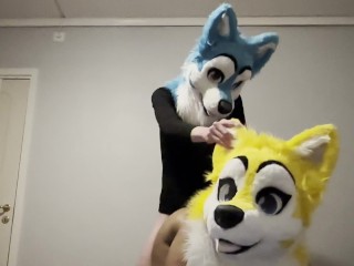 Horny furries fucks in doggy 🐶💦