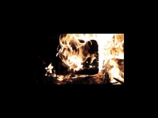 GAWK GAWK 3000 WORTH THE MONEY