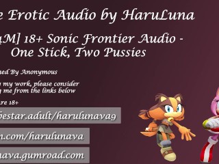 18+ Audio - One Stick, Two Pussies