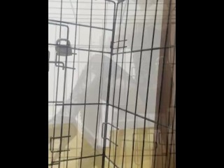 Maitresse Julia - POV Je donne des cours à Un Etudiant Fétichiste des Bottes qui devient mon esclave