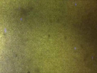 GROOBYGIRLS: RUN TO THE HILL!