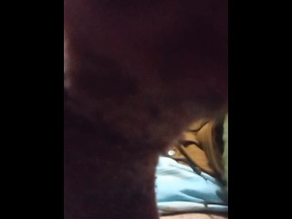 Flight of the Reptile